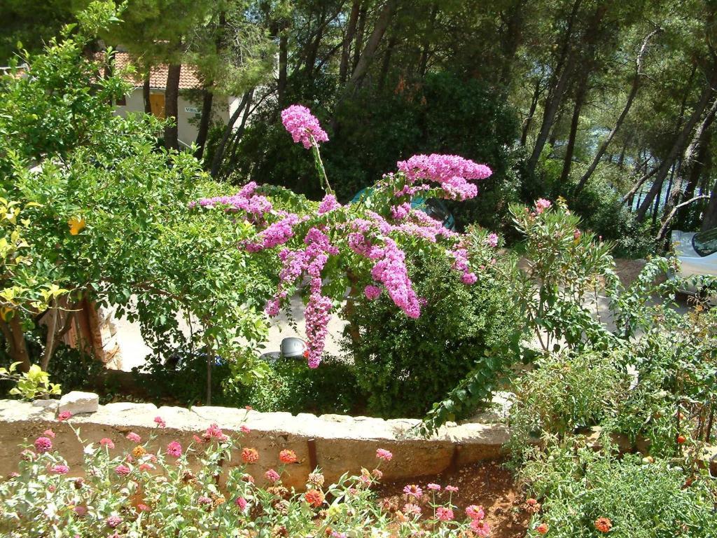 Apartments Bosnic Prižba Dış mekan fotoğraf