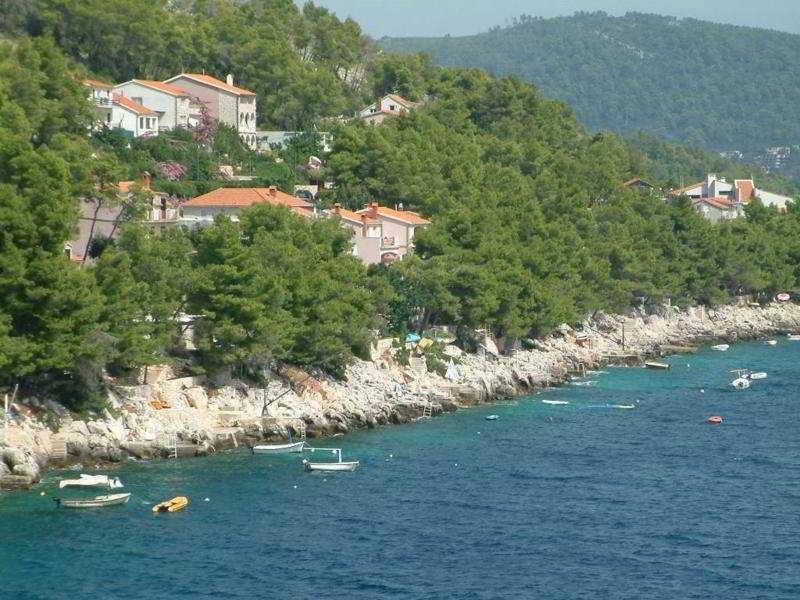 Apartments Bosnic Prižba Dış mekan fotoğraf